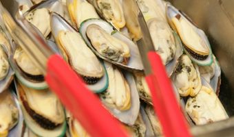 Zeker Zeeuws mosselseizoen geopend met eerste baal