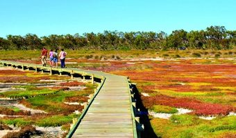 NHTV krijgt subsidie voor onderzoek duurzaamheid