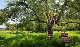 Uitblinkers: Vijf vragen aan Pension de Appelgaard in Culemborg