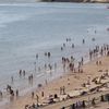 Nederlandse zomer in trek bij buitenlandse bezoekers