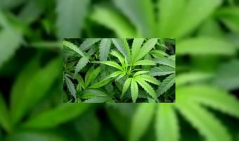 Cafe Parade gesloten na overtreding