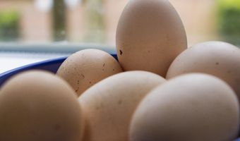 Meer informatie over besmette eieren in Nederland