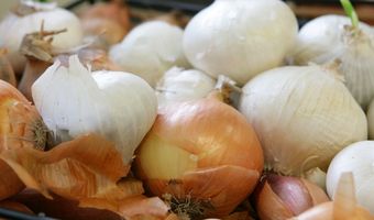 Culinair auteur Millau van Gault&Millau overleden