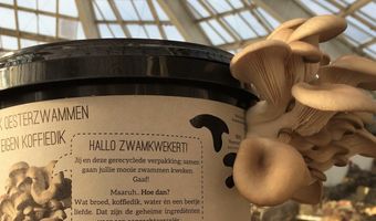 Culinaire hulpactie voor RotterZwam