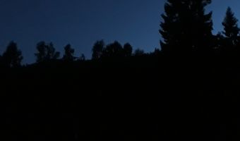 Orkaan Irma spaart Disney Hotel Orlando niet