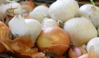 Belgische chef beklaagt zich over onbeschofte gasten