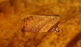 Inspiratie opdoen op BAKKERSVAK