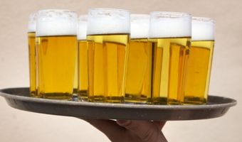 Groningen krijgt misschien een hondencafé