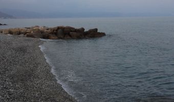 Park Plaza Hotels viert de Truffeldagen in Kroatië