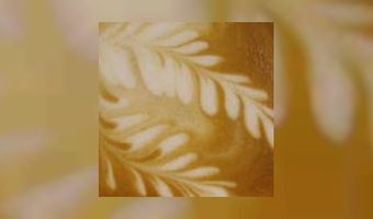 Nieuwe bestuursleden voor Dutch Coffee Promotion 