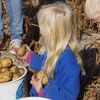 De 'Week van de Friet' breekt weer aan