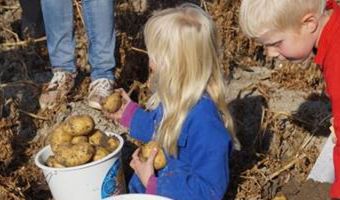 De 'Week van de Friet' breekt weer aan