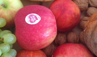 Steeds meer duurzaam voedsel in de horeca