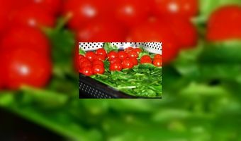 Lunch zet voedselverspilling in spotlight