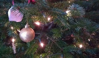 Bijna de helft van de Nederlanders gaat uit eten tijdens de feestdagen