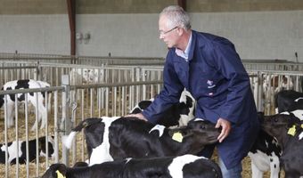 Tips & Tricks voor kalfsvlees