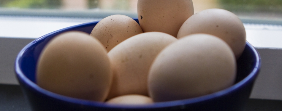 16 maart Nationale Pannenkoekendag: tien stappen tot de perfecte pannenkoek