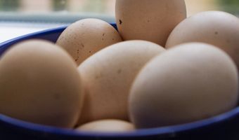 16 maart Nationale Pannenkoekendag: tien stappen tot de perfecte pannenkoek