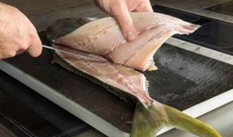 Dutch Yellowtail als alternatief voor blauwvintonijn