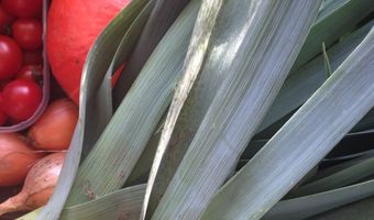 Crowdfunding voor nieuwe vegan lunchroom in Amsterdam