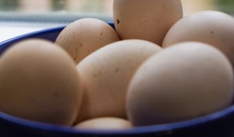 Video: pannenkoekenmachine maakt 360 pannenkoeken per uur