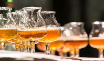 Bijna 400 bieren tijdens vierde Dutch Beer Challenge in Rotterdam