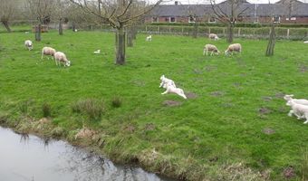 Nederlanders minder op vakantie met Pasen