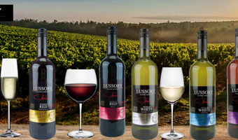 Advertorial: Hoogste tijd voor alcoholvrije wijn op de kaart