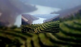 Spanje en Portugal maken nieuwe wijnsoort