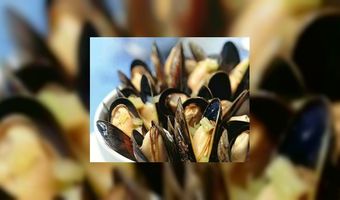 Daar komt de mosselman!