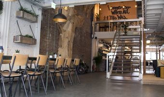 BACKYARD: plant based & vegan friendly restaurant in Rotterdam.