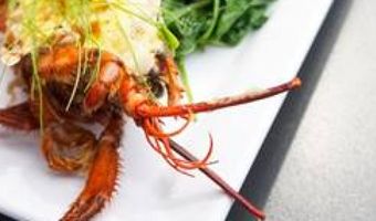 Remise47 serveert de hele maand juni verse kreeft
