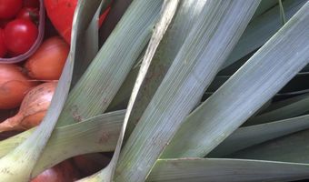 Speciaal paviljoen op VEG. voor kleinschalige vernieuwers in AGF