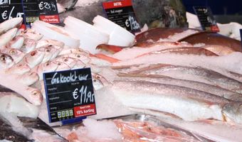 Culinair festival VISSCH eind juni in Scheveningse Visafslag