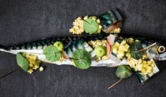 Restaurants serveren massaal niet-duurzame vis