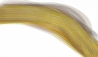 Satirische website Trumphotels.org gelanceerd