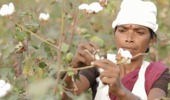 Video: Blycolins' Chetna Project helpt katoenboeren verder