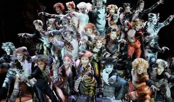Cast en crew van de musical CATS kiezen voor Novotel Amsterdam City