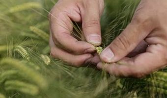 World Beer Awards 2018: AB InBev wint 25 medailles