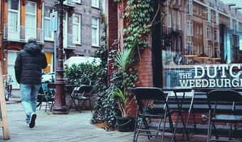 Zeewier wordt toegankelijker in een burger