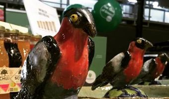 De winnaars van Gaia Green Awards zijn...