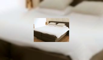 Tien nieuwe b&b's in Den Bosch