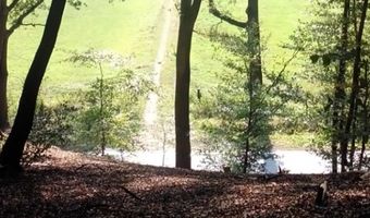 Duizenden mensen blijken op Nederlandse vakantieparken te wonen