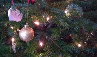 Kerstmenu: Spoom en foie gras uit de gratie 