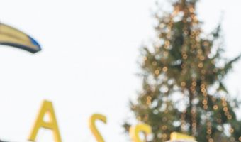 Hotelketens domineren Nederlandse markt