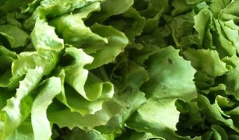 Onderzoek 'Echte en Eerlijke Prijs' duurzame producten van start