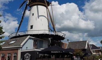 Swinkels neemt craftbrouwerij De Molen over