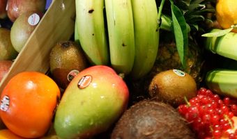 Gezondheid en horeca: kleinere porties en minder zout