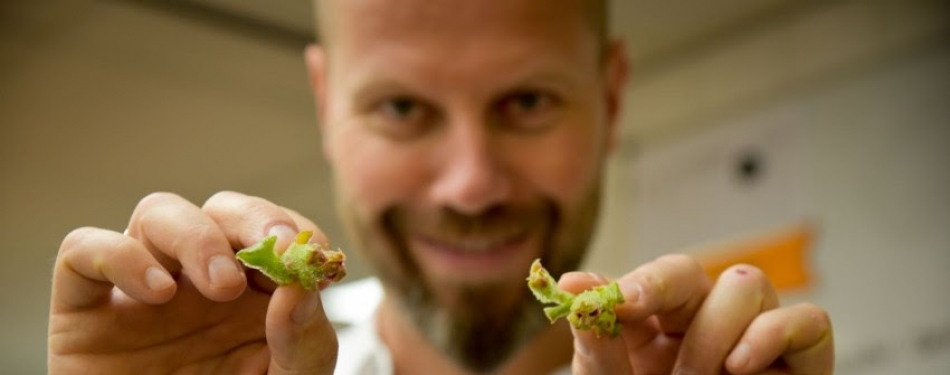 Sidney Schutte in de vegetarische maand