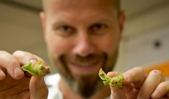 Sidney Schutte in de vegetarische maand